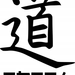 Popularny Naklejka na samochód auto, szybę lakier, tuning Kanji Symbol Droga 20cm