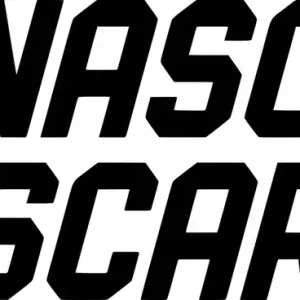 Naklejka na samochód auto, szybę lakier, tuning Nascar logo na drzwi 20cm Bezpieczna płatność