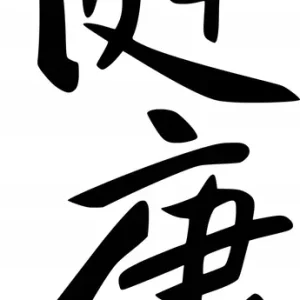 Niska cena Naklejka na samochód auto, szybę lakier, tuning Kanji Zdrowie 15cm