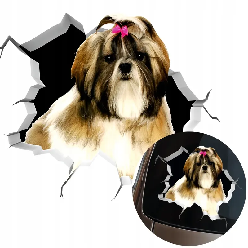 NAKLEJKA Grafika na auto zbita szyba Wyglądający Pies SHIH TZU DOG 15x14 Ostatnia szansa