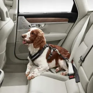 Oferta VOLVO uprzaz pas dla psa 15-30kg na tylna kanape