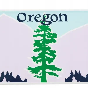 Amerykańskie tablice rejestracyjne USA OREGON Autentyczny
