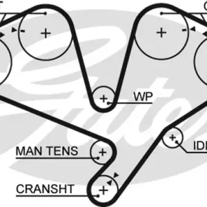 Oryginalny GATES PASEK ROZRZ 5353XS MITSUBISHI GALANT/3000GT 2,5 91-96