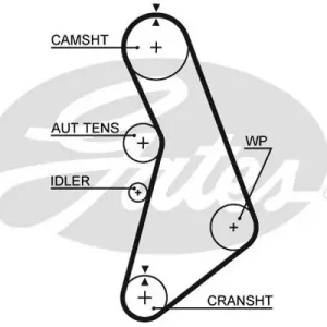 Nowość GATES Pasek rozrządu 5491XS