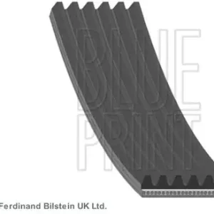 Rabat BLUE PRINT Pasek klinowy wielorowkowy AD06R2045