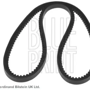 BLUE PRINT Pasek klinowy wielorowkowy BLUE PRINT AD13V675 Tylko dziś