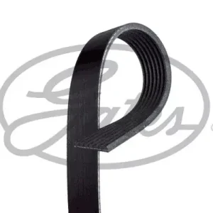 Pasek klinowy wielorowkowy Gates 7PK1065XS Premium