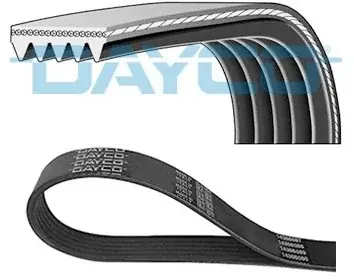DAYCO Pasek klinowy wielorowkowy DAYCO 5PK725 Najlepsza cena