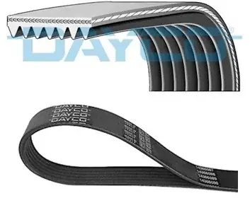 DAYCO Pasek klinowy wielorowkowy 7PK1127 Autentyczny